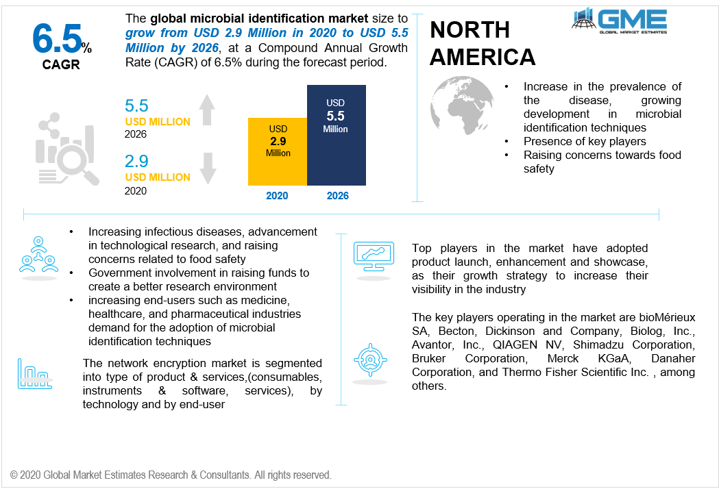 Global Microbial Identification Market Analysis | Size