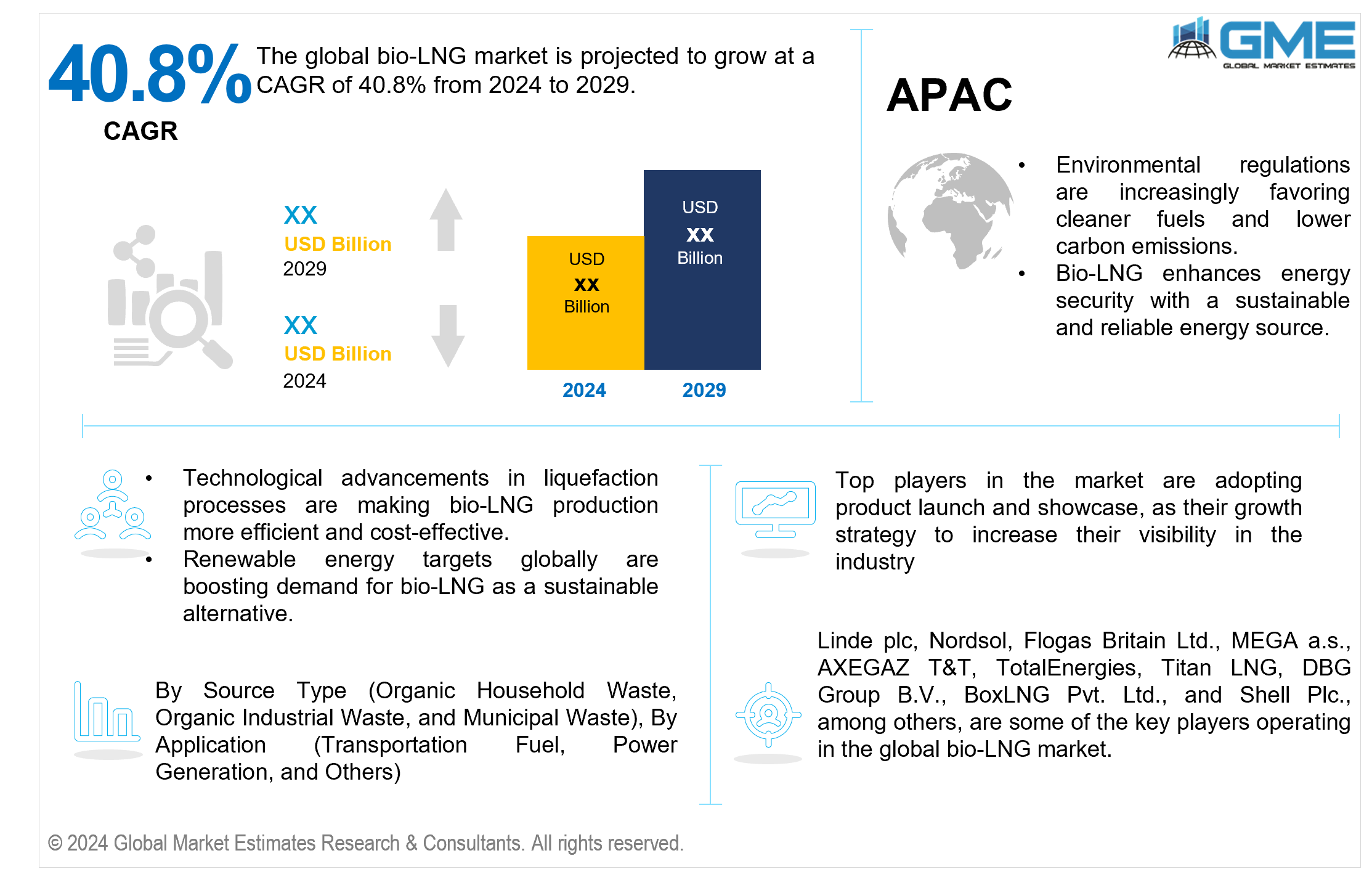 global bio-lng market