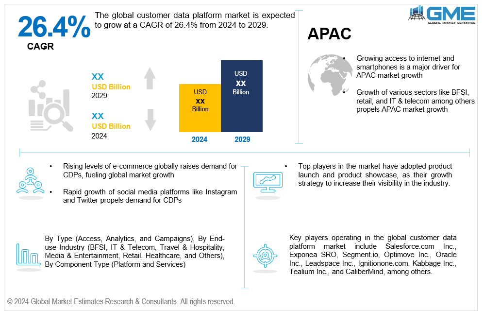 global customer data platform market